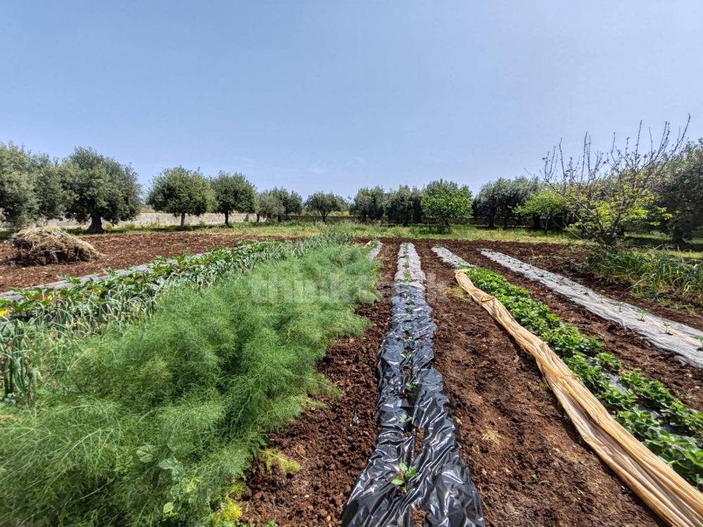 Terreno residenziale in vendita a Siracusa - Terreno residenziale in vendita a Siracusa