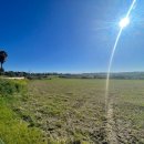 Terreno agricolo in vendita a Siracusa