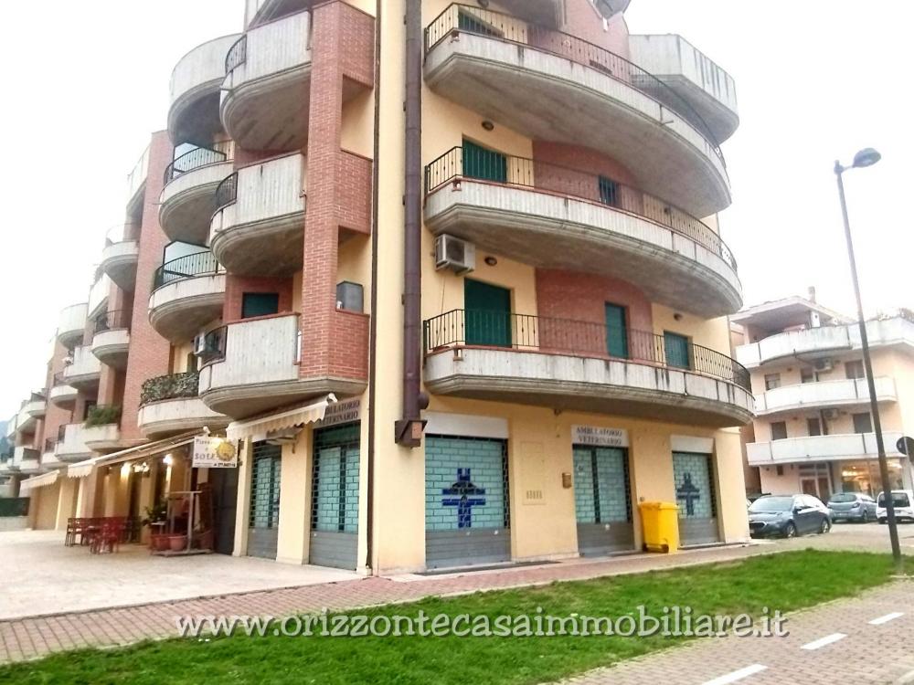 Appartamento plurilocale in affitto a Ascoli Piceno - Appartamento plurilocale in affitto a Ascoli Piceno