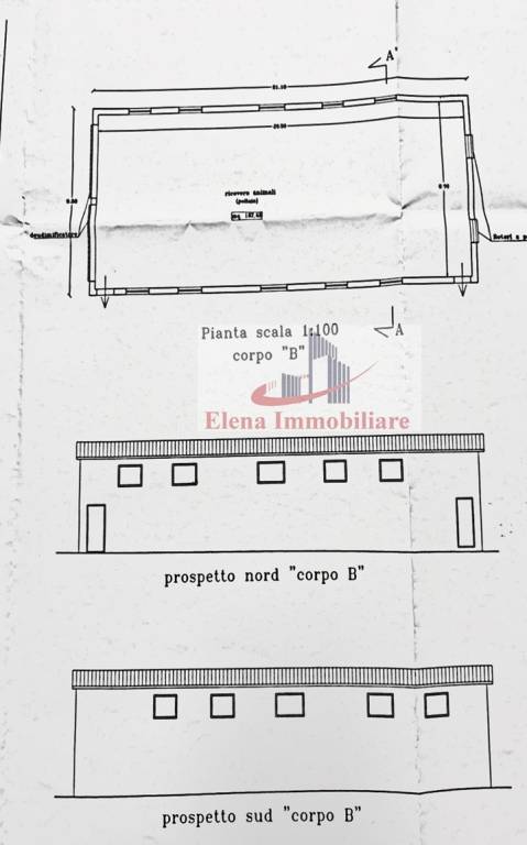 immagine annuncio 2 di 5