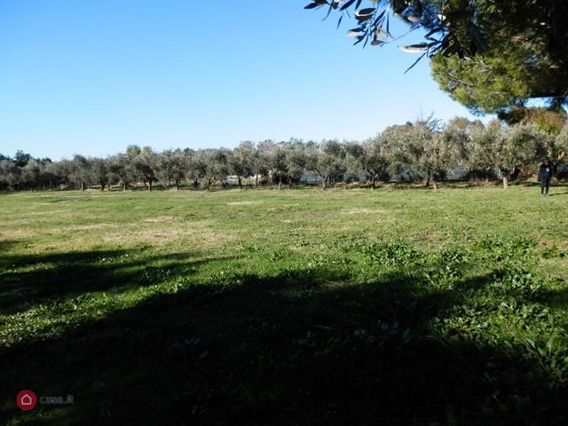 terreno agricolo in vendita a Tarquinia