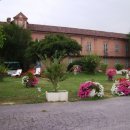Azienda commerciale in vendita a Vigliano d'Asti
