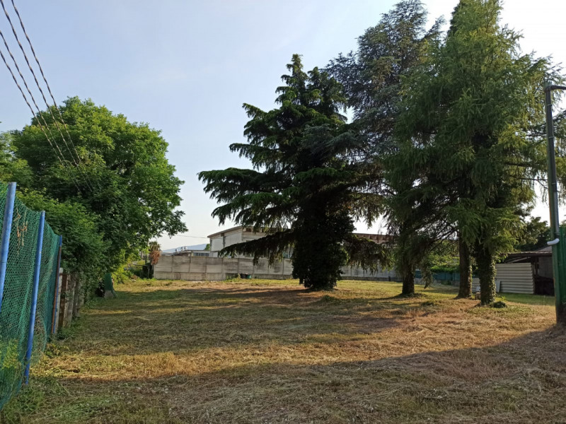 immagine annuncio 2 di 4
