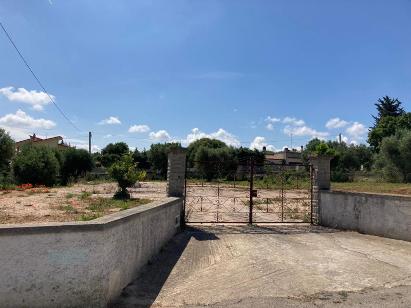 immagine annuncio 1 di 4