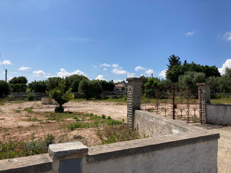immagine annuncio 2 di 4