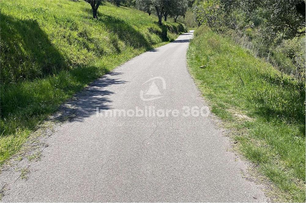 immagine annuncio 2 di 3