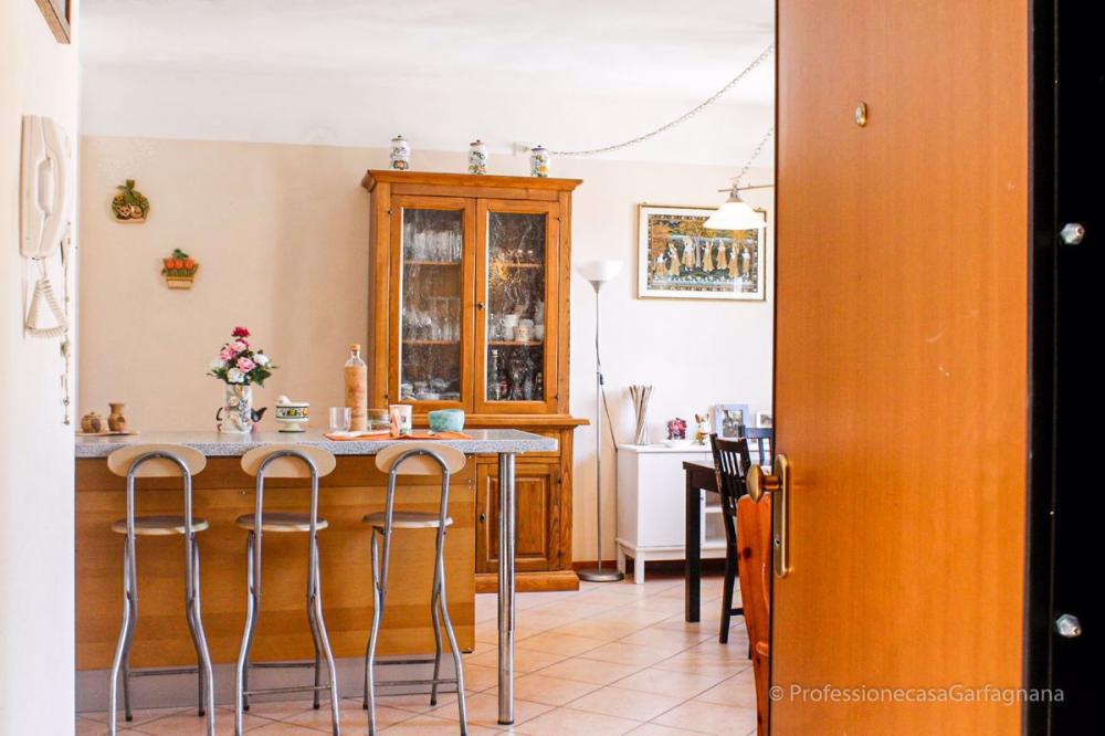appartamento in vendita a Castelnuovo di Garfagnana