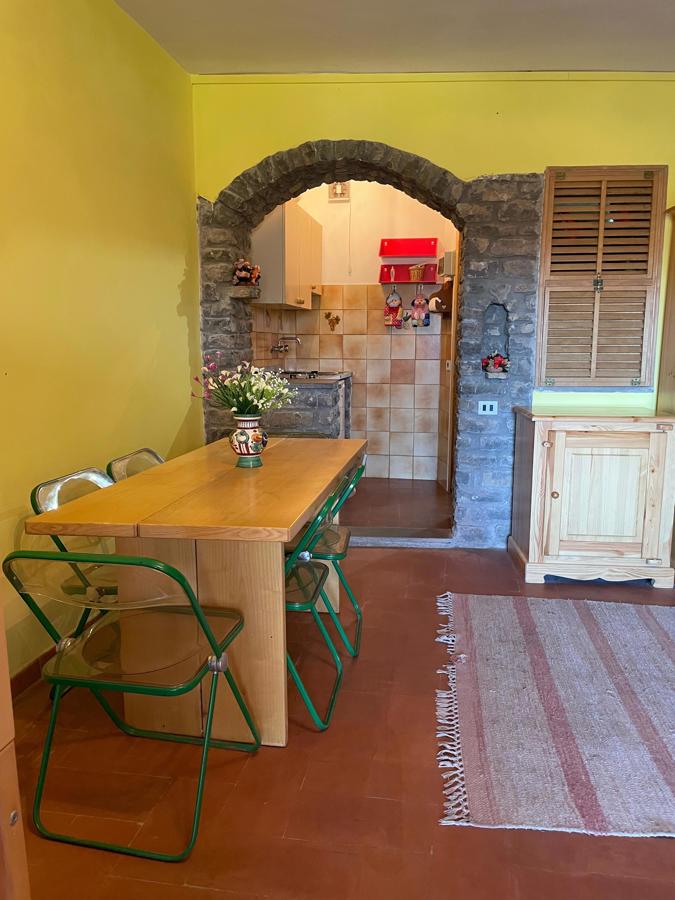appartamento in vendita a San Romano in Garfagnana