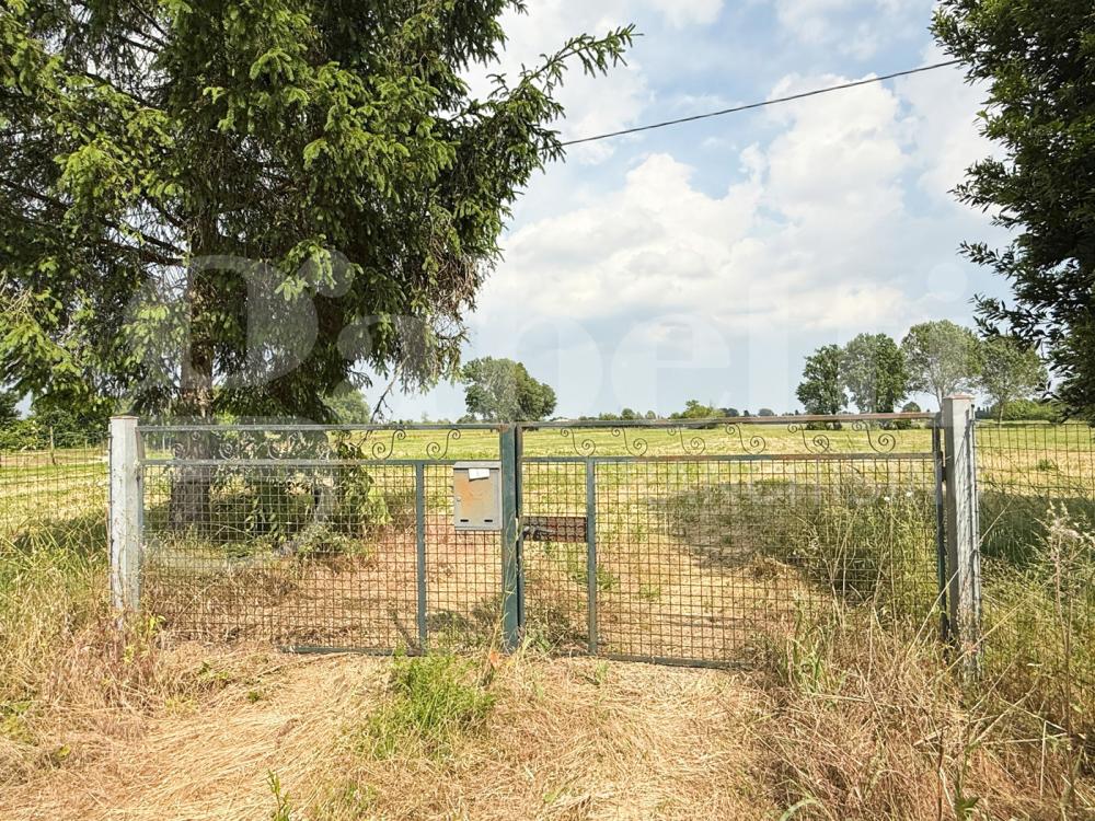 Terreno agricolo in vendita a teolo - Terreno agricolo in vendita a teolo