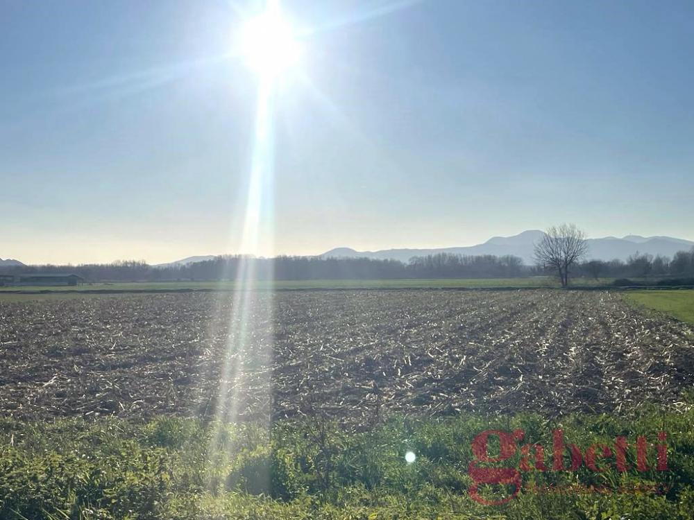 Terreno agricolo in vendita a san tammaro - Terreno agricolo in vendita a san tammaro