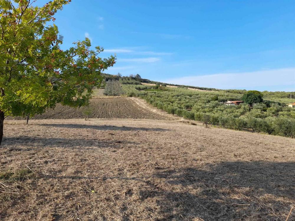 terreno agricolo in vendita a Sant'antonio