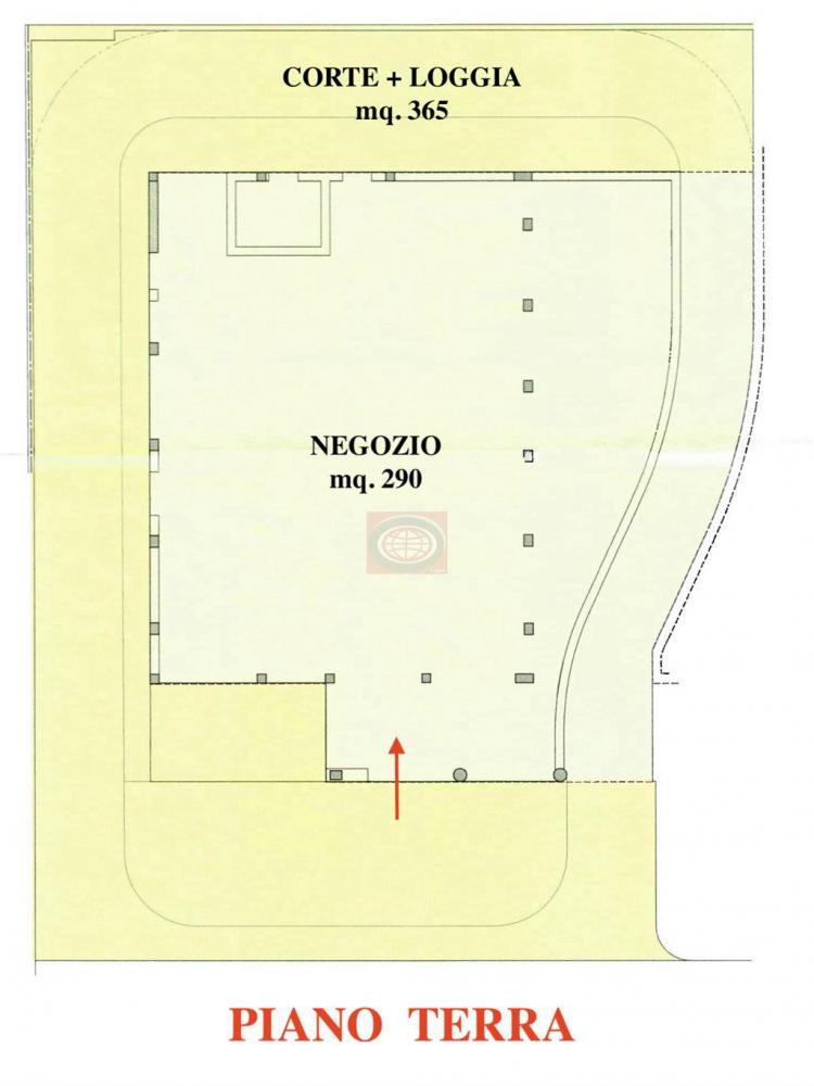 immagine annuncio 1 di 3