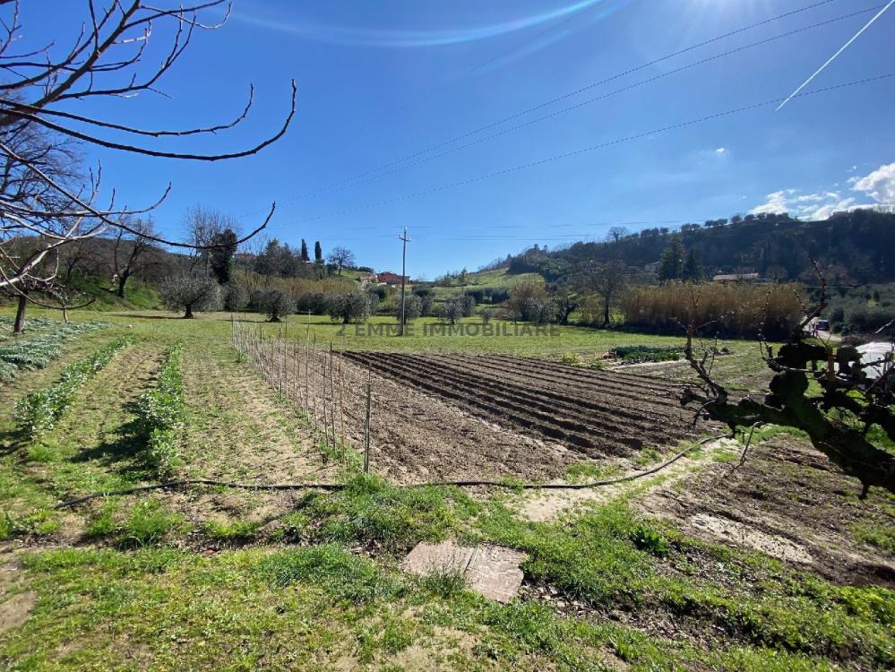 Terreno agricolo in vendita a Ascoli Piceno - Terreno agricolo in vendita a Ascoli Piceno