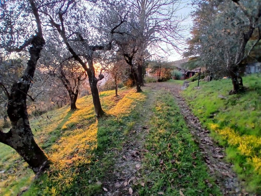 Rustico / casale plurilocale in vendita a Cappella - Rustico / casale plurilocale in vendita a Cappella