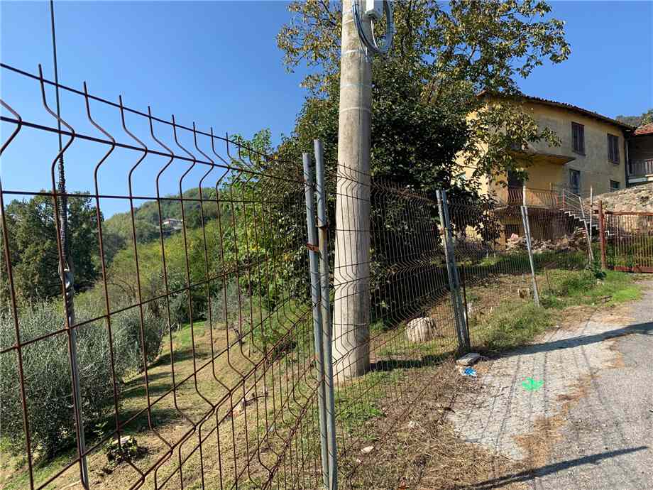 immagine annuncio 2 di 3