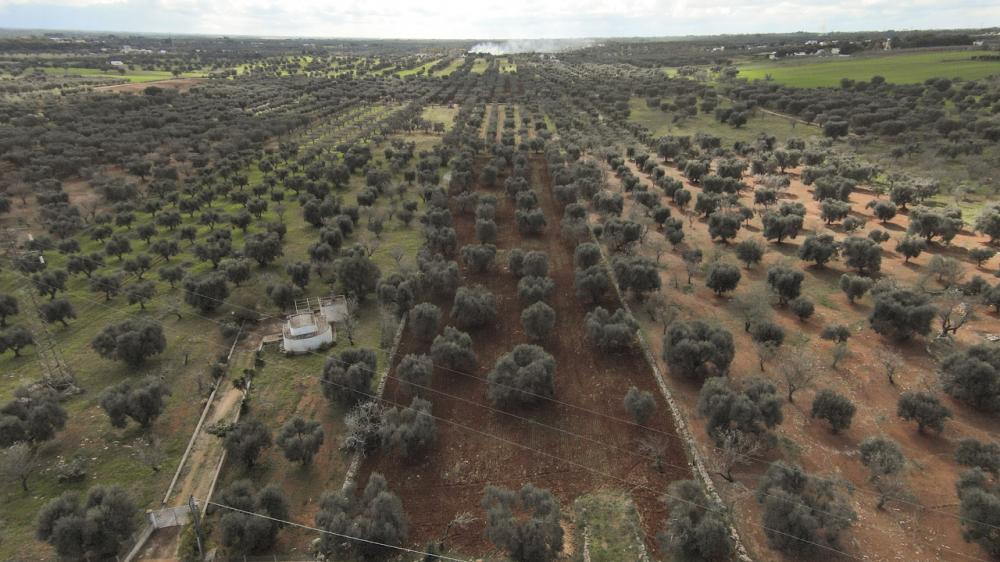 Terreno residenziale in vendita a carovigno - Terreno residenziale in vendita a carovigno