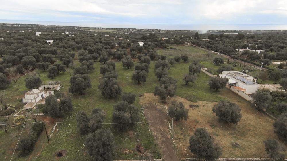 Terreno residenziale in vendita a carovigno - Terreno residenziale in vendita a carovigno