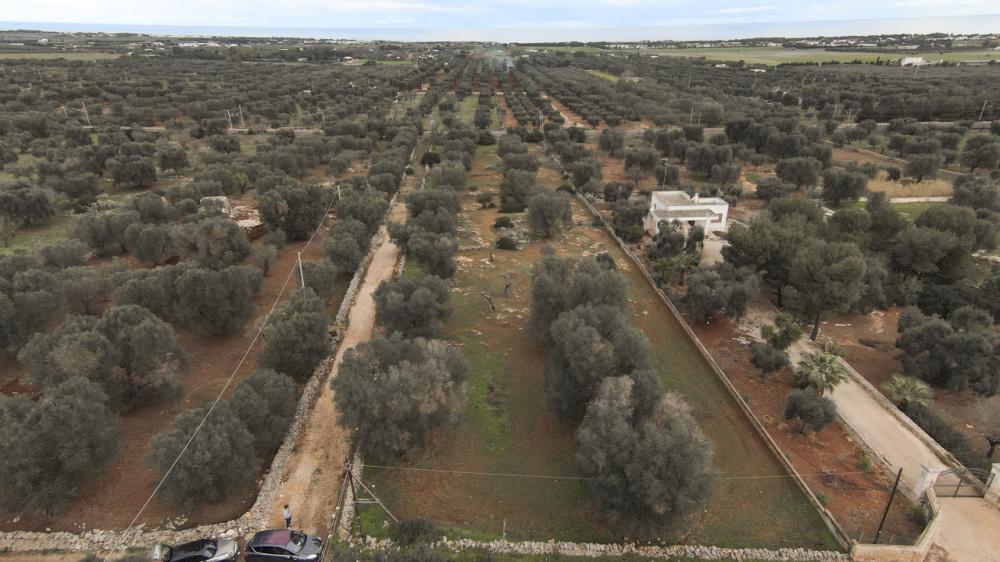 Terreno residenziale in vendita a carovigno - Terreno residenziale in vendita a carovigno