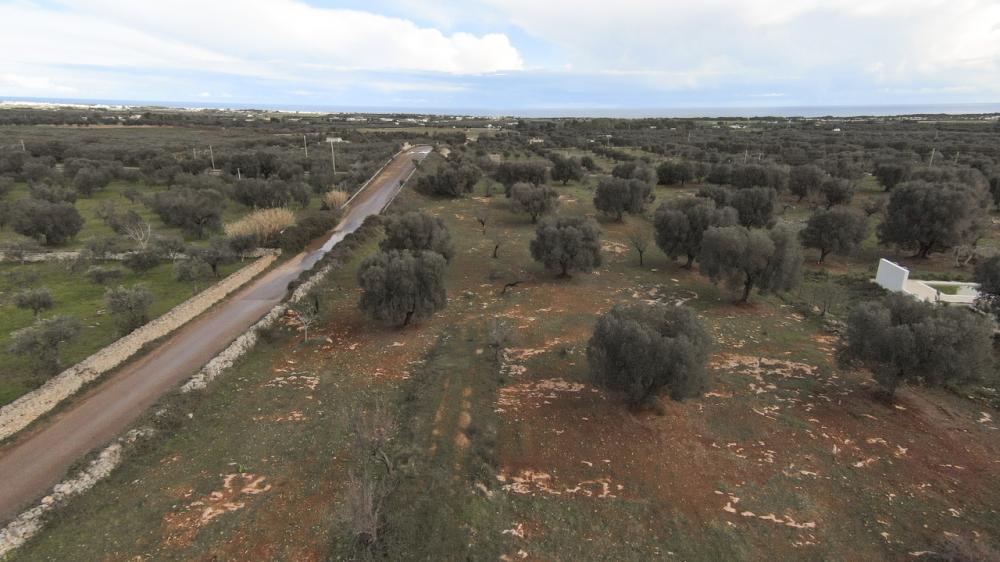 Terreno residenziale in vendita a carovigno - Terreno residenziale in vendita a carovigno