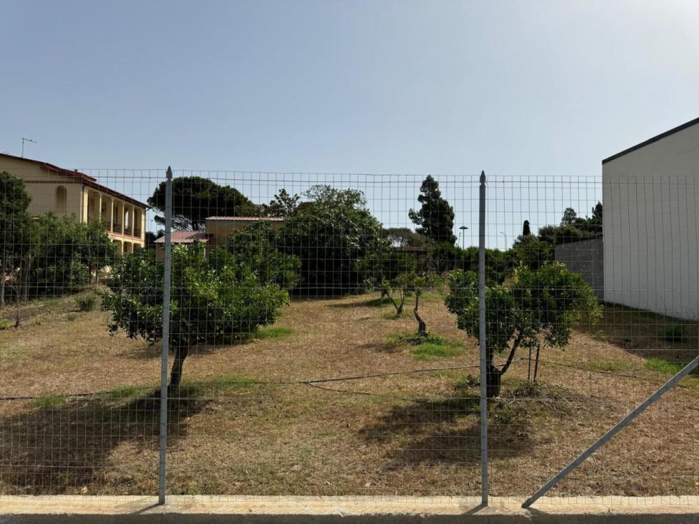 immagine annuncio 1 di 2