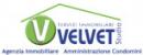 logo Velvet Studio